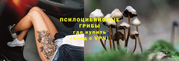 метадон Белокуриха