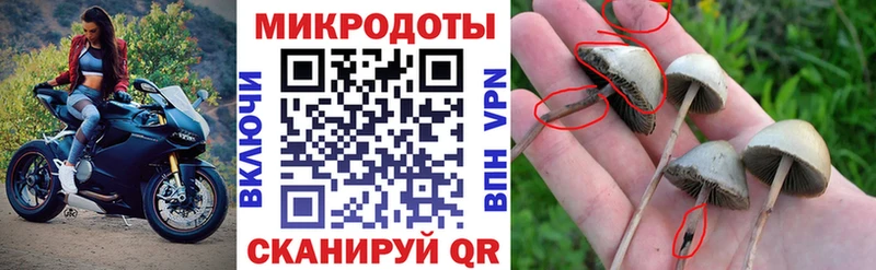 Псилоцибиновые грибы ЛСД Коряжма